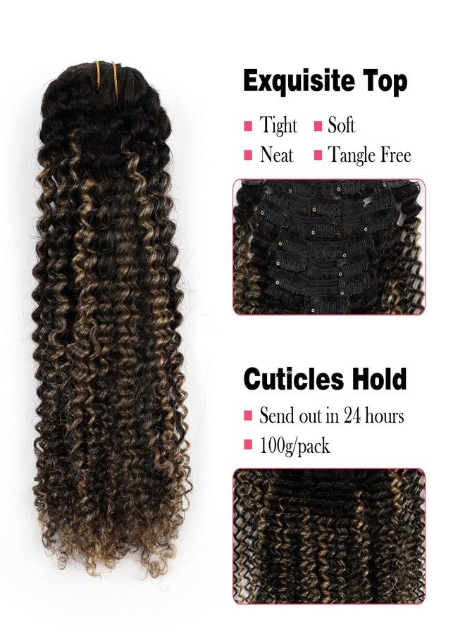 Sassina 3C 4A Kinky Curly Clip in Hair Extensions for Black Women Full Head Clip ins Human Hair Extensions Natural Black Fading to Strawberry Blonde 14 Inch 120 Gram 7 Pcs with 17 Clips #T1B/1BP27 - Image 2